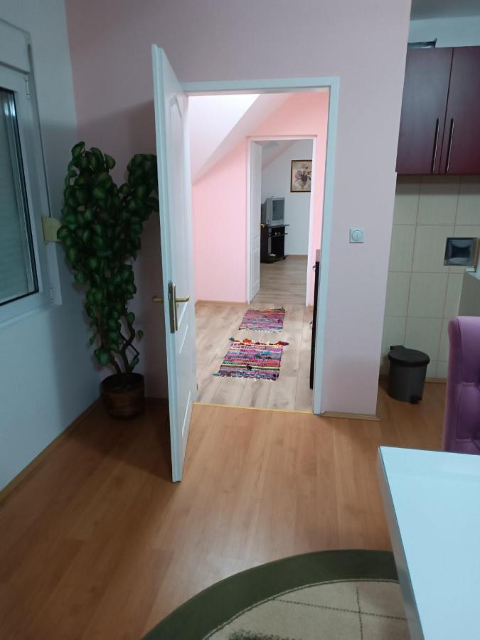 Stan Na Dan J & M Apartment Vrsac Exterior photo